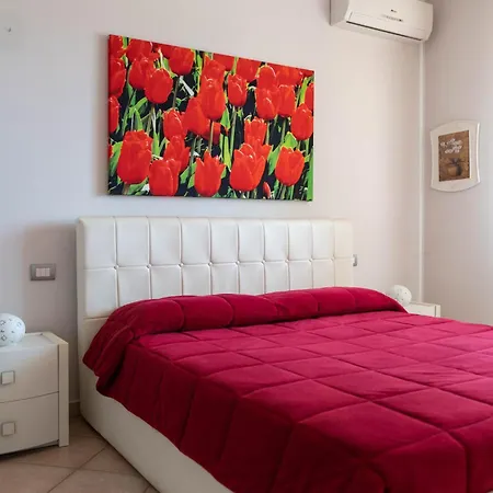 Pacinotti 28 Αλγκέρο